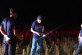 Trabalhadores encontram ossada humana durante colheita de soja