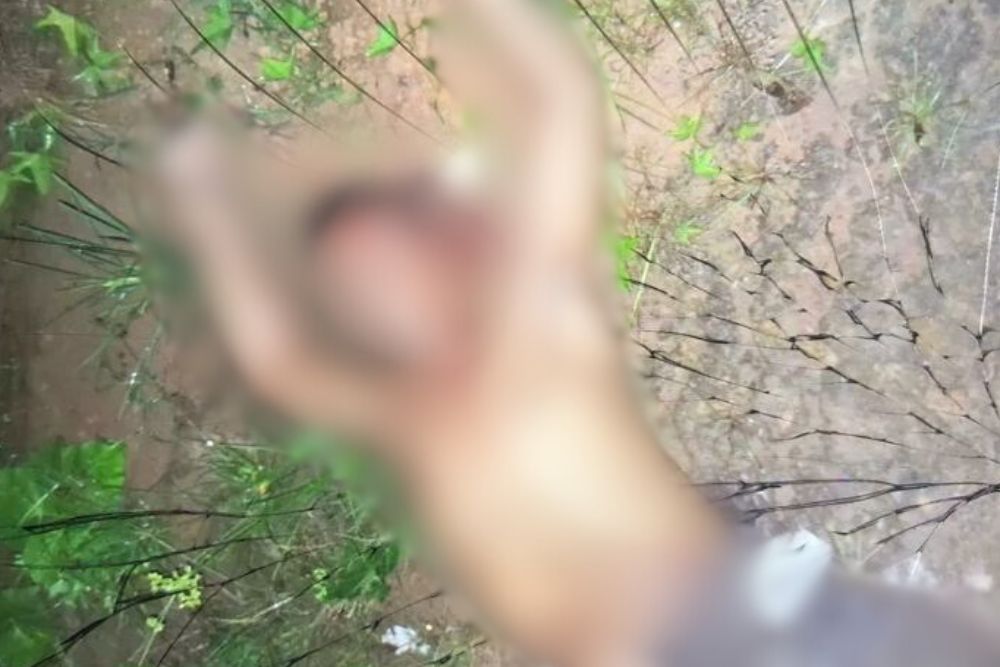 Criminosos executam 'dono de boca' em &aacute;rea de mata no interior do Amazonas