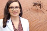 Saiba como usar o repelente como um aliado do Combate à Dengue