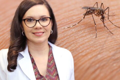 Saiba como usar o repelente como um aliado do Combate à Dengue
