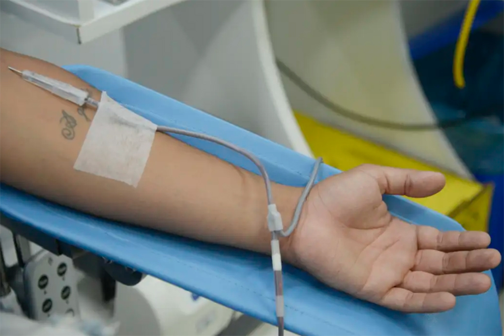 Dia Mundial do Doador de Sangue: saiba mais sobre a doação regular