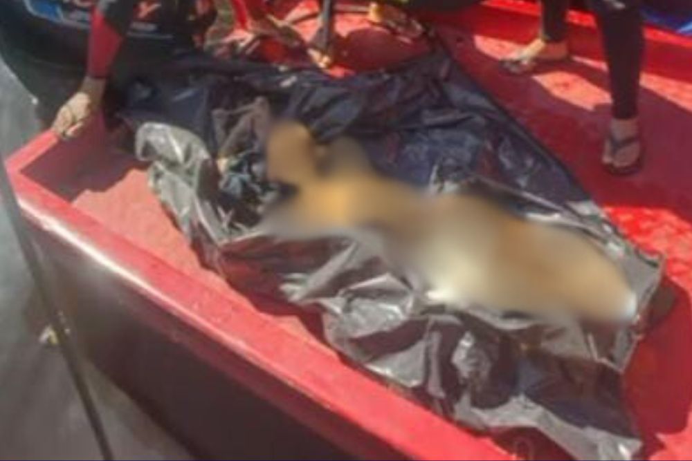 Corpo do sexo masculino é encontrado em porto de Manaus Corpo do sexo masculino é encontrado em porto de Manaus