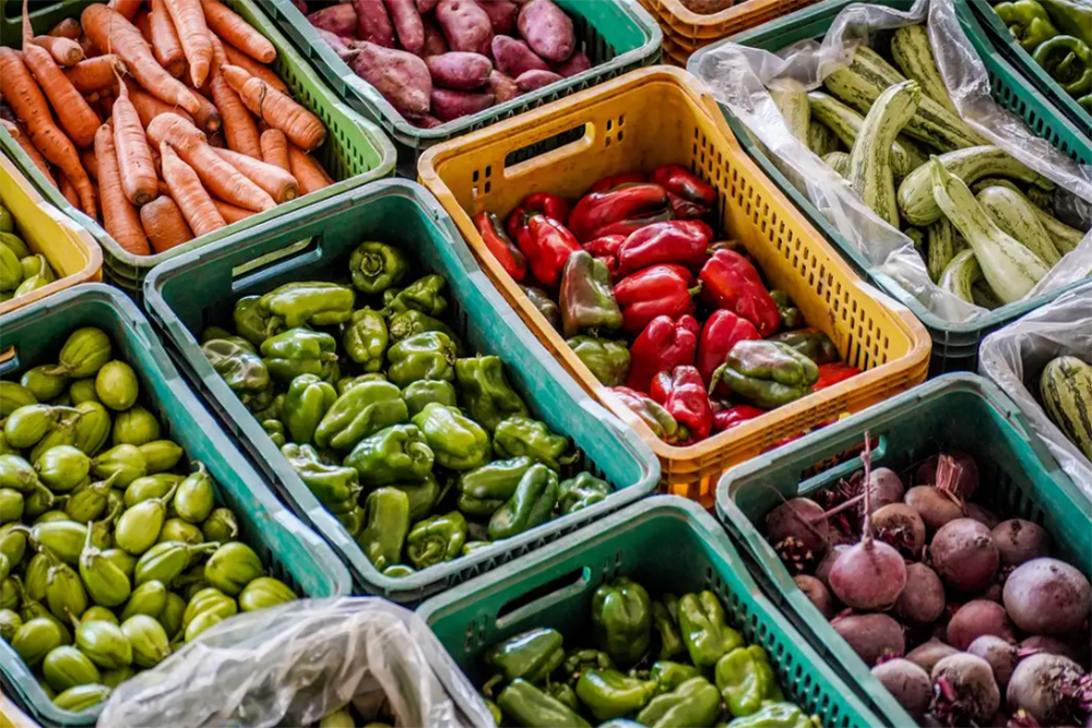 Fiocruz lança catálogo sobre alimentação saudável
