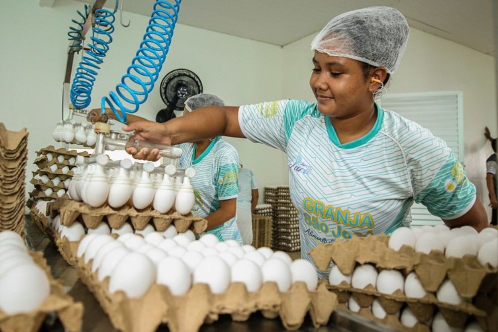 Pavimenta&ccedil;&atilde;o de Ramais em Manacapuru impulsiona produ&ccedil;&atilde;o de ovos e de macaxeira