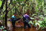 Dia da Água: Pesquisas analisam qualidade da água e de ambientes aquáticos no Amazonas