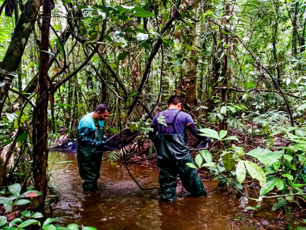 Dia da Água: Pesquisas analisam qualidade da água e de ambientes aquáticos no Amazonas Dia da Água: Pesquisas analisam qualidade da água e de ambientes aquáticos no Amazonas