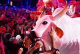 Boi Garantido emociona o público com toada ‘Vermelho’ durante o 32° Festival de Curitiba