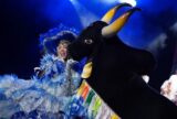 Boi Caprichoso brilha ao apresentar espetáculo ‘O duelo da Amazônia’ durante Festival de Curitiba