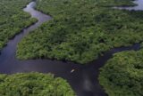 Ibama convoca entidades ambientalistas para ações conjuntas no Amazonas