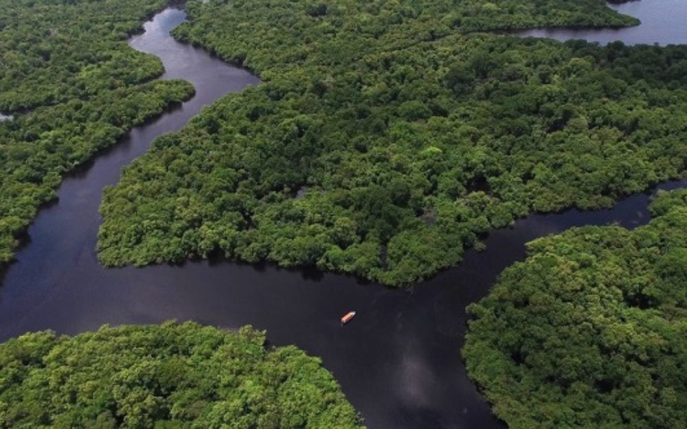 Ibama convoca entidades ambientalistas para a&ccedil;&otilde;es conjuntas no Amazonas