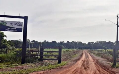 TJAM atende solicitação da DPE-AM e determina envio do processo sobre a Fazenda Palotina à Justiça Federal