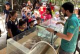 Apoiado pela Fapeam, evento científico populariza conhecimentos sobre peixes do Amazonas