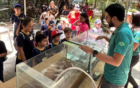 Apoiado pela Fapeam, evento científico populariza conhecimentos sobre peixes do Amazonas