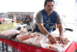 Primeiro dia de Feirão do Pescado comercializa 27 toneladas e movimenta mais de R$ 578 mil