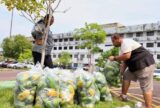 Mais de 35,6 toneladas de alimentos são entregues a instituições socioassistenciais de Manaus