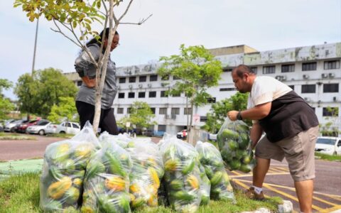 Mais de 35,6 toneladas de alimentos são entregues a instituições socioassistenciais de Manaus
