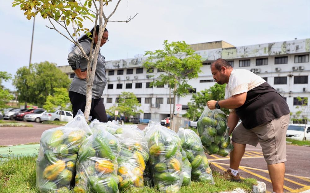 Mais de 35,6 toneladas de alimentos são entregues a instituições socioassistenciais de Manaus Mais de 35,6 toneladas de alimentos são entregues a instituições socioassistenciais de Manaus