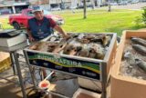 Governo promove último dia de Feirão do Pescado nesta Sexta-Feira Santa