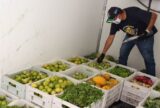 Mais de 42 toneladas de alimentos de feiras e supermercados de Manaus são recolhidos em três meses