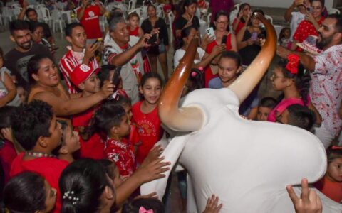 Boi Garantido promove show folclórico com itens oficiais para crianças com autismo