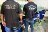 PF faz operação contra venda de animais marinhos ameaçados de extinção
