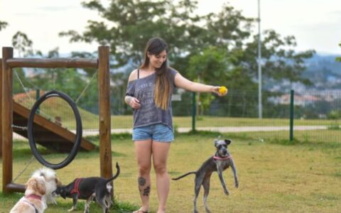 Primeira ‘Praça Pet’ de Manaus será entregue nesta quinta-feira (11)