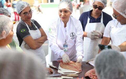 Mais de 1600 pessoas são capacitadas em nove municípios do Amazonas durante o primeiro trimestre de 2024