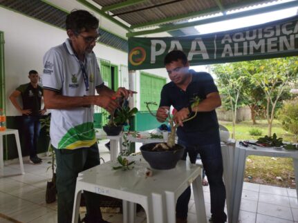 Em Eirunepé, Idam capacita agricultores familiares em boas práticas de Propagação Vegetativa