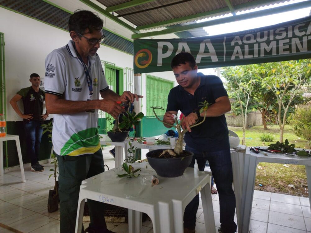 Em Eirunepé, Idam capacita agricultores familiares em boas práticas de Propagação Vegetativa Em Eirunepé, Idam capacita agricultores familiares em boas práticas de Propagação Vegetativa
