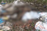 Corpo em avançado estado de decomposição é encontrado em área de mata no Distrito Industrial