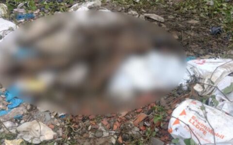 Corpo em avançado estado de decomposição é encontrado em área de mata no Distrito Industrial
