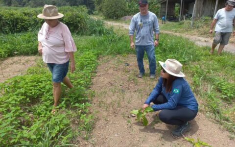 Técnicos do Idam garantem assistência técnica a produtores de café da Vila de Lindoia