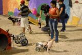 Primeira ‘Praça Pet’ busca elevar qualidade de vida urbana em Manaus