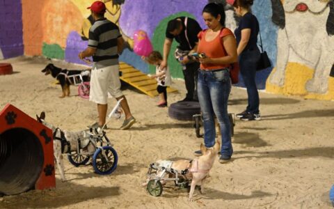 Primeira ‘Praça Pet’ busca elevar qualidade de vida urbana em Manaus