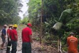 Homem sobe em poste e morre eletrocutado em Presidente Figueiredo