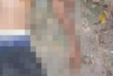 Homem é morto a pauladas em beco na Zona Norte de Manaus