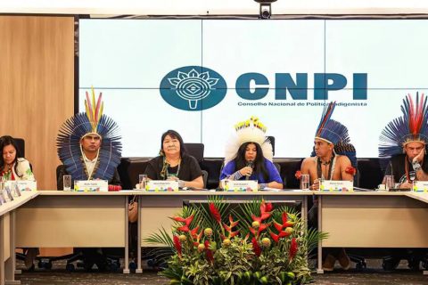 Conselho Nacional de Política Indigenista retoma atividades após cinco anos