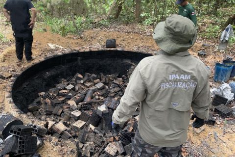 Ipaam apreende madeira e destrói fornos de fabricação de carvão ilegal na Região Metropolitana de Manaus