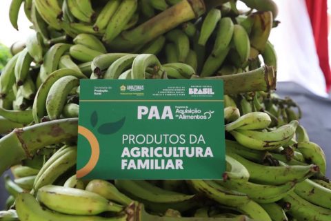 Sepror arrecada mais de 52 toneladas de alimentos orgânicos através do PAA