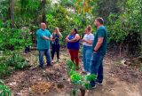 Startup e catadores de resíduos plantam árvores durante ação ambiental em comunidade rural de Manaus