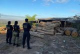 PF prende duas pessoas com madeira ilegal em terras indígenas
