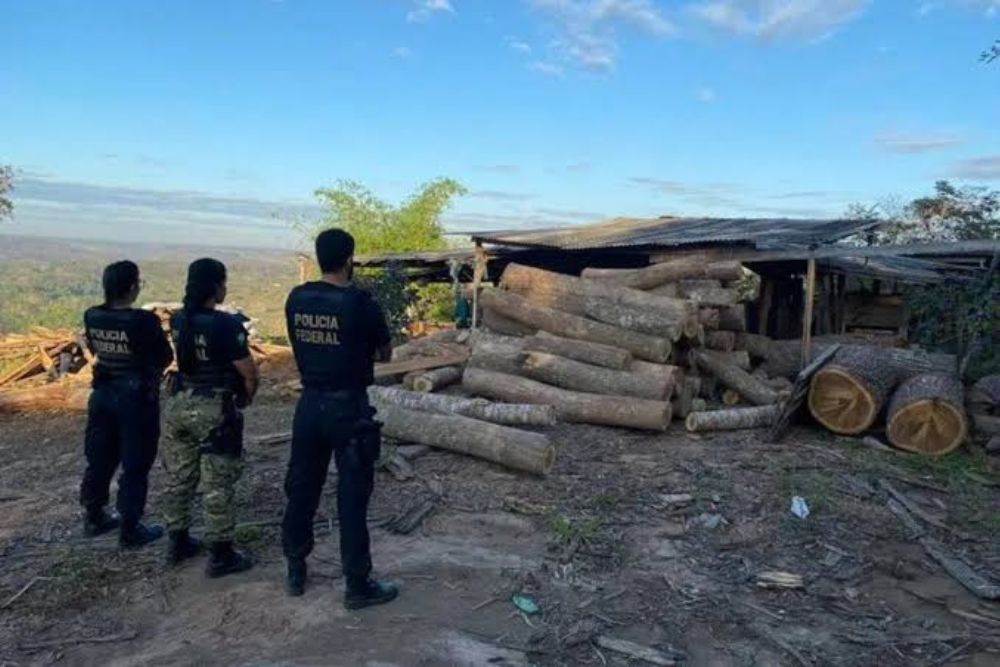 PF prende duas pessoas com madeira ilegal em terras ind&iacute;genas