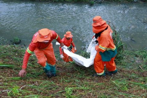 Igarapé do Passarinho recebe operação de limpeza, higienização e implantação de ecobarreiras