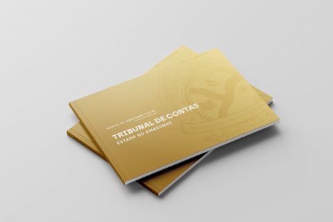TCE-AM institui Manual de Identidade Visual da Corte de Contas
