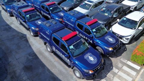 Guarda Municipal e Polícia Federal capturam foragido em Manaus