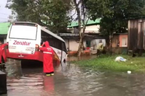 Rota do Distrito Industrial fica presa ao cair em buraco no bairro Armando Mendes