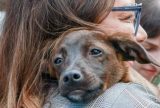 Janja adota cachorrinha resgatada durante enchente no RS