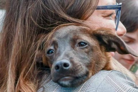Janja adota cachorrinha resgatada durante enchente no RS