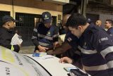 Operações Volante e Lei Seca: Fiscalização autua 350 condutores de Manaus durante o fim de semana