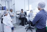 Sebrae e Embrapii abrem chamada para ampliar acesso de projetos de inovação a recursos não reembolsáveis